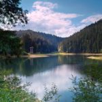 Синевир канатка і ведмеді